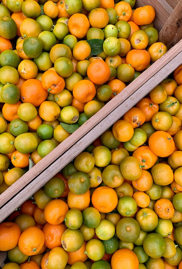 Kalamansi par Lemon Story - Plantation d'agrumes rares à La Crau France