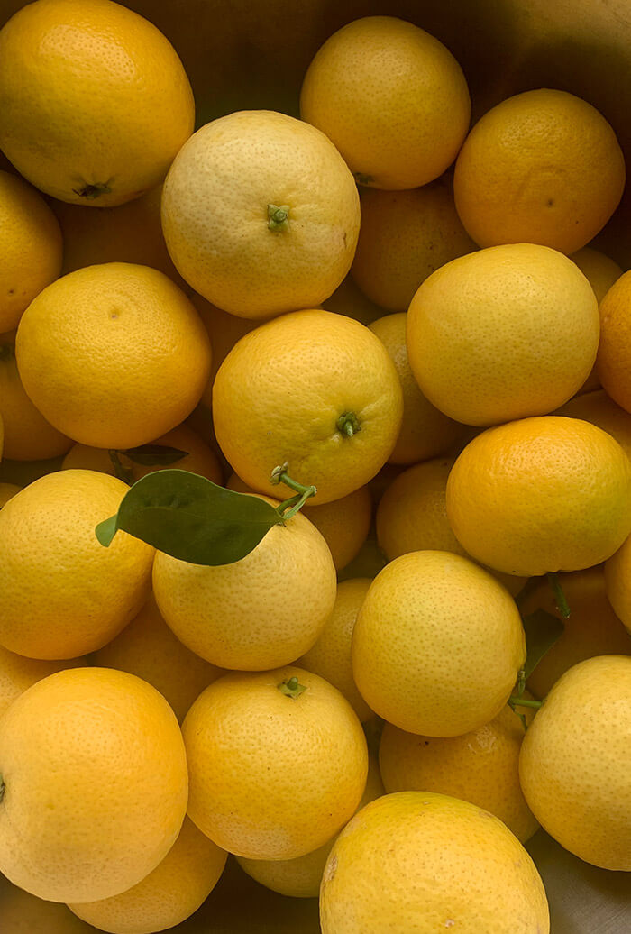 Lemon Story - Confiture Tangelo Wekiwa