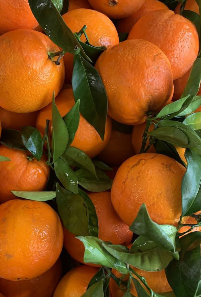 Marmelade 3 Agrumes Lemon Story
