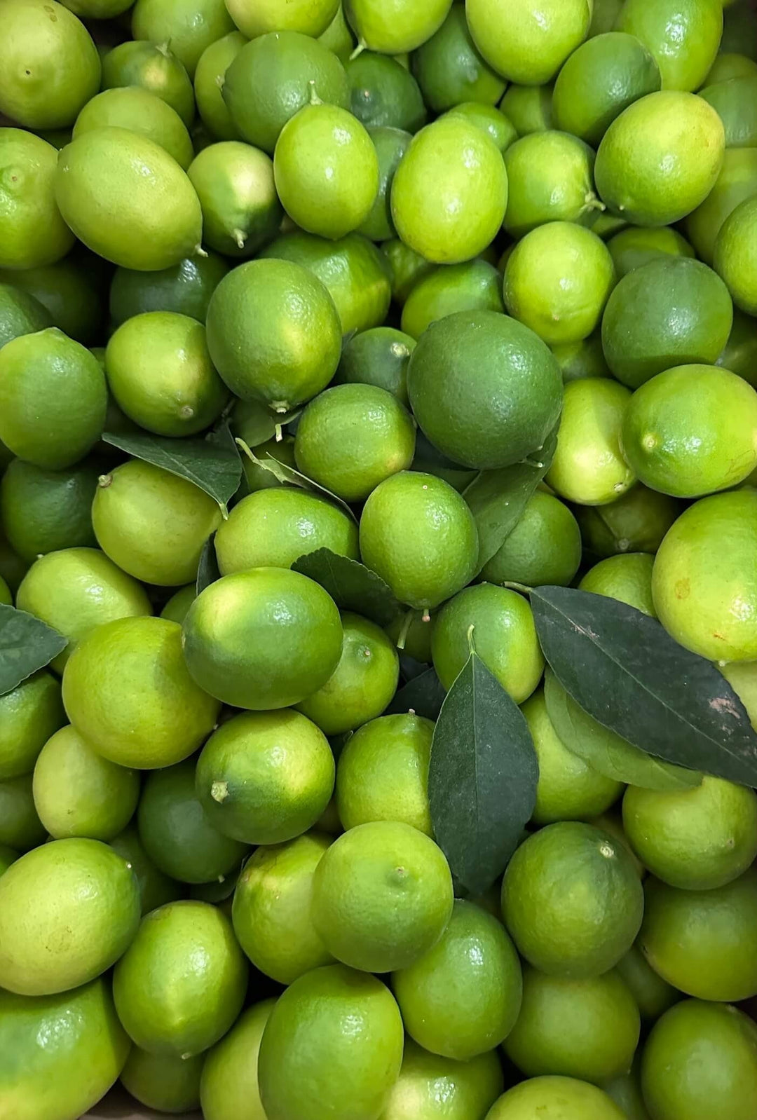 Lime de Tahiti, comment l’utiliser et la cuisiner