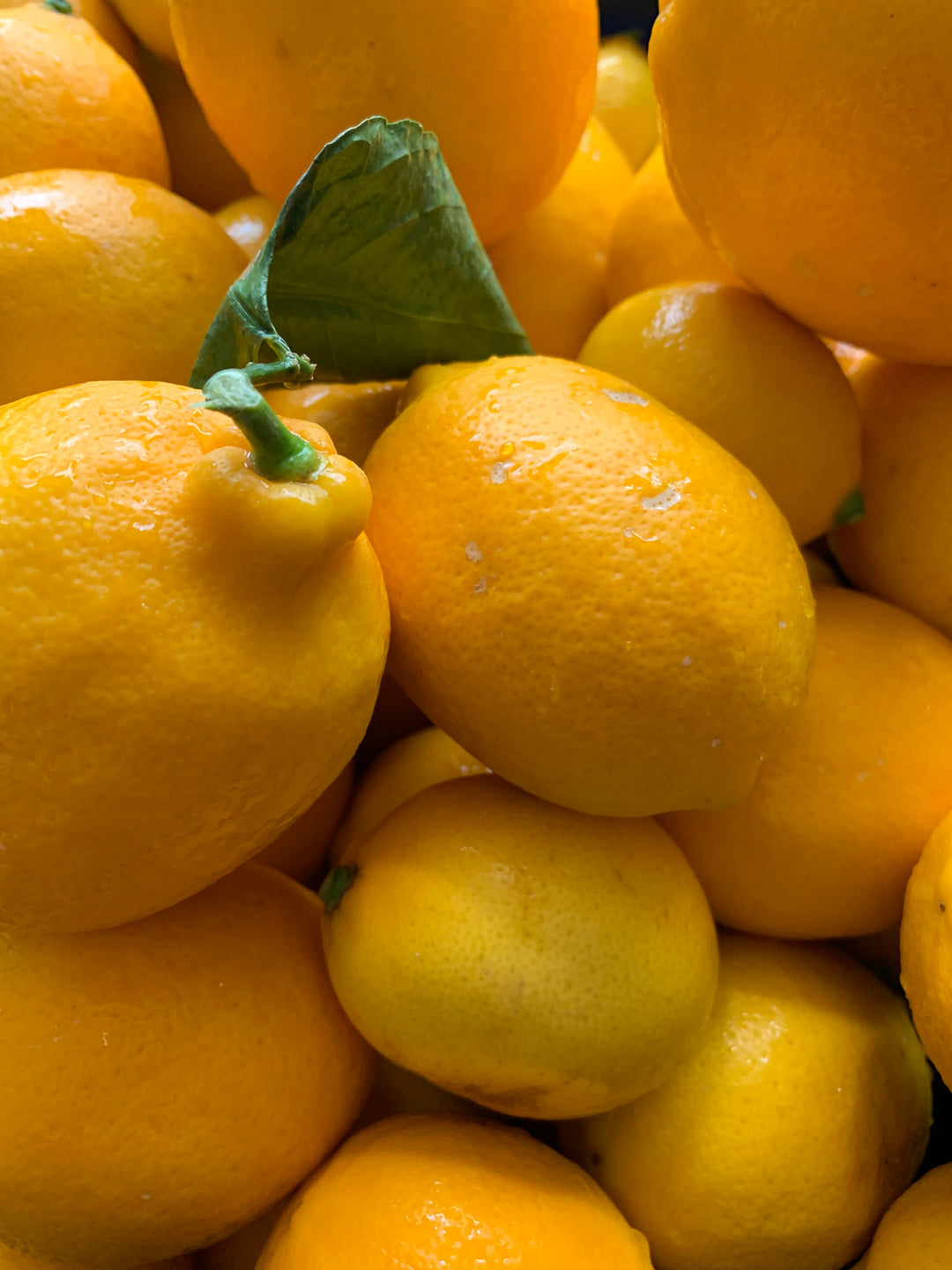 Panier Agrumes yuzu & meyer 2kg