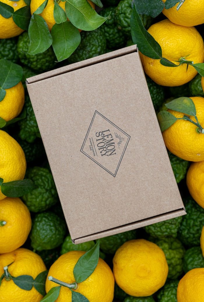 Lemon Story Coffret 004