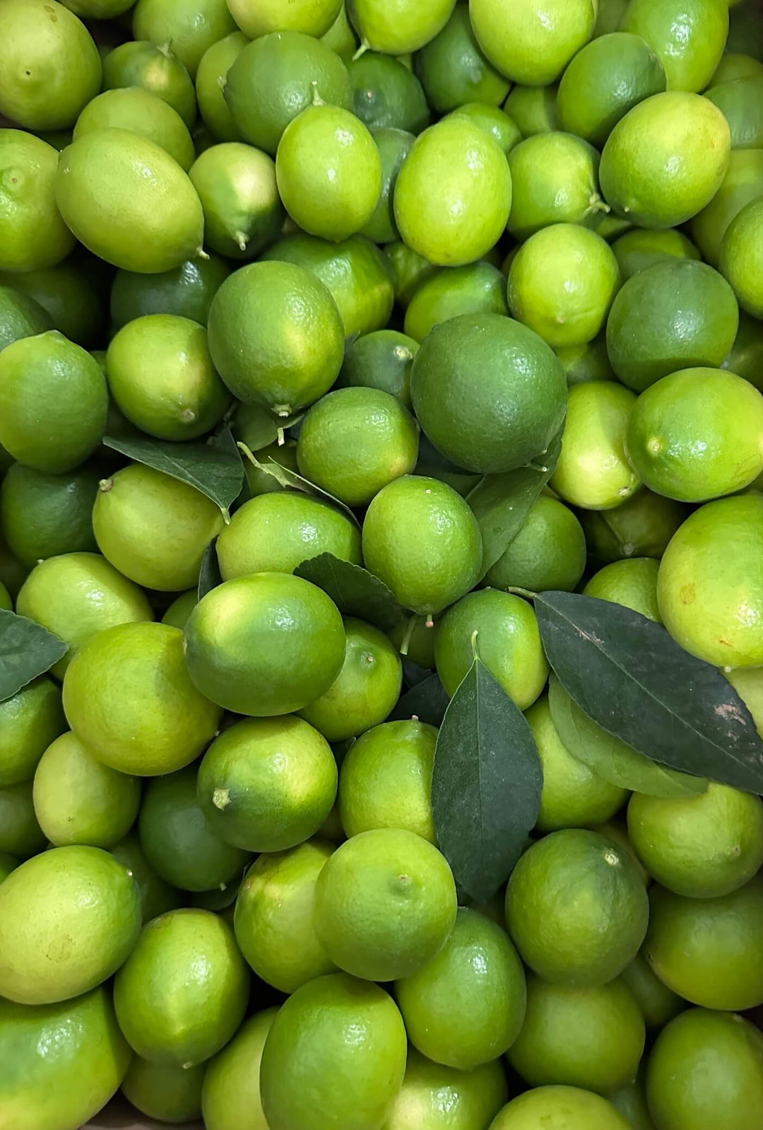Lemon Story Lime Tahiti 00