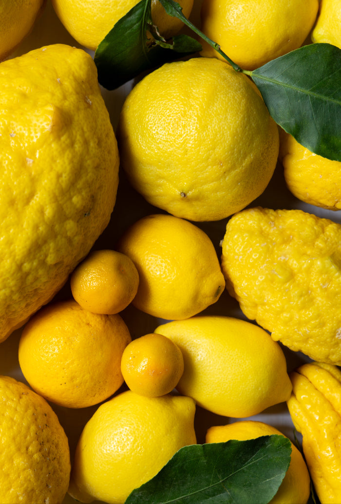 Lemon Story Panier Agrumes