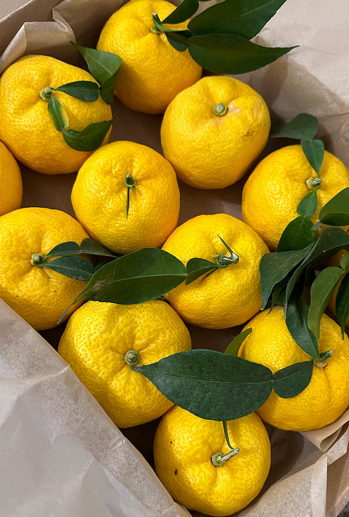 Lemon Story Panier agrumes