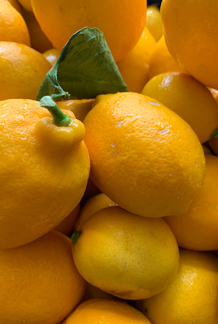 Petit panier d'agrumes de Noël