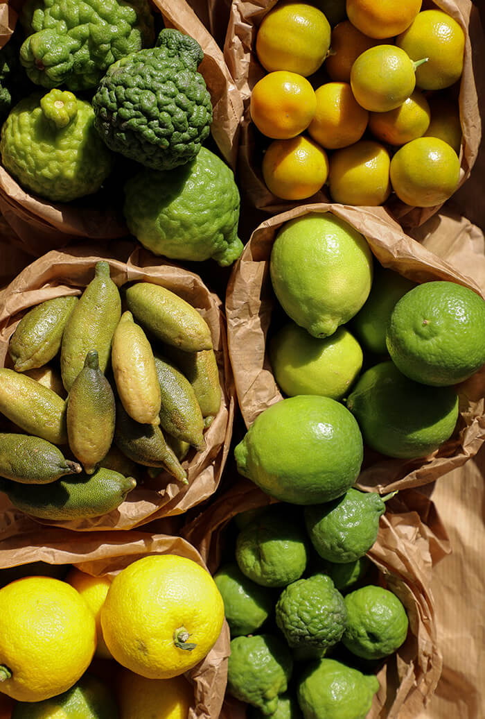Panier d'agrumes par Lemon Story - Plantation d'agrumes rares à La Crau France