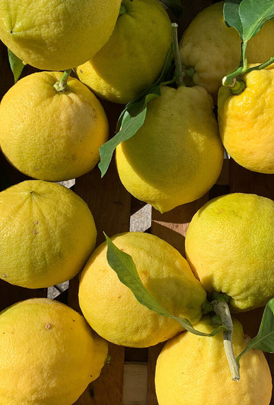 Confiture Bergamote et Lemon par Lemon Story