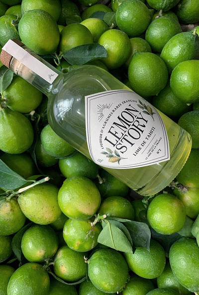 Liqueur Limoncello Lime de Tahiti par Lemon Story - Plantation d'agrumes rares à La Crau France